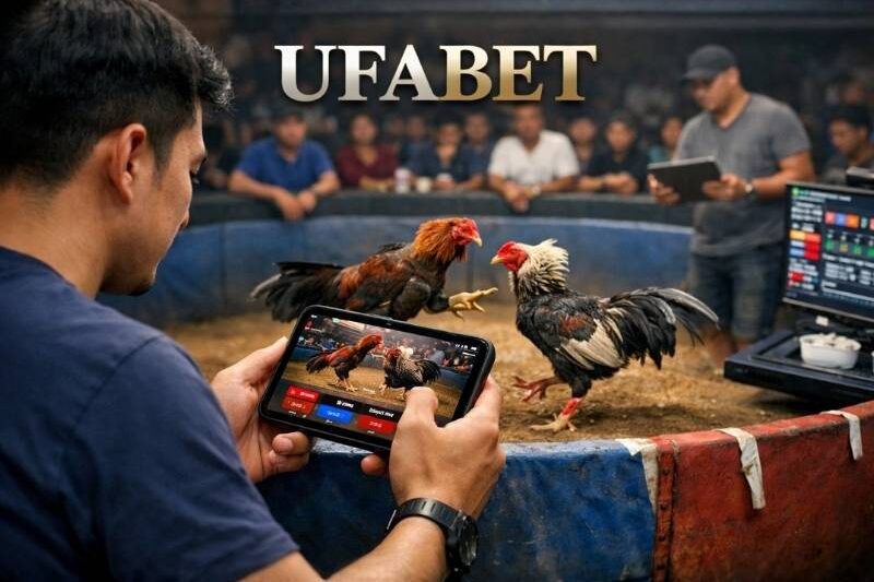สมัคร Ufabet พนันไก่ชนออนไลน์ ผ่านมือถือ ใช้งานง่าย เข้าถึงได้ทุกที่